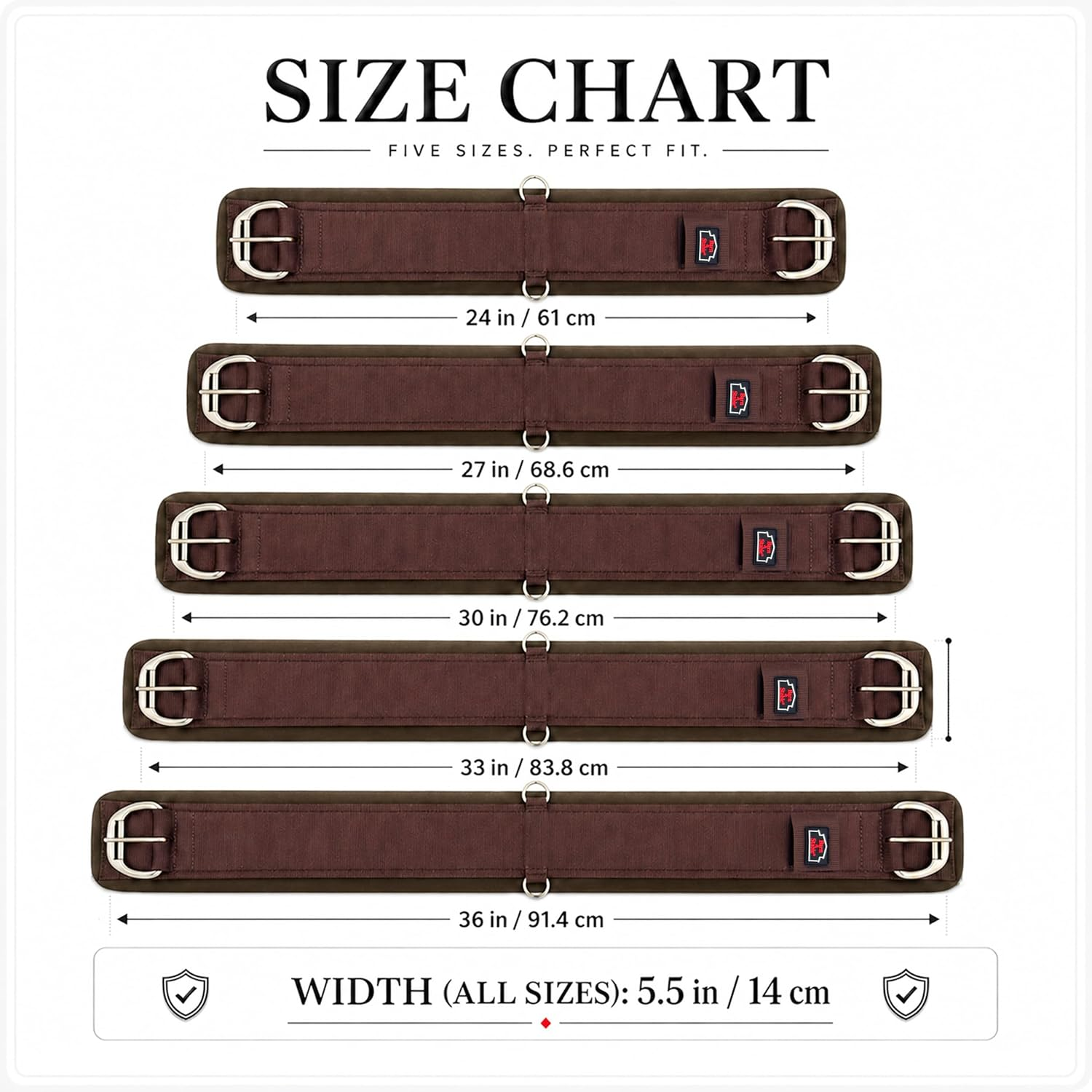 Western girth size chart from 24 to 36 inches