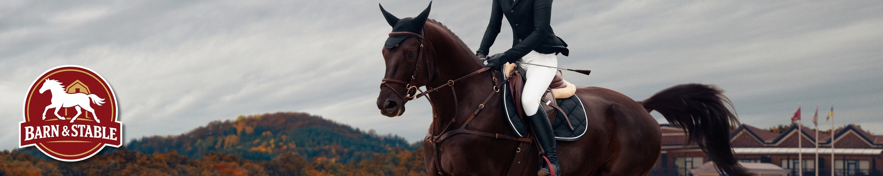 Horse and rider in an outdoor arena