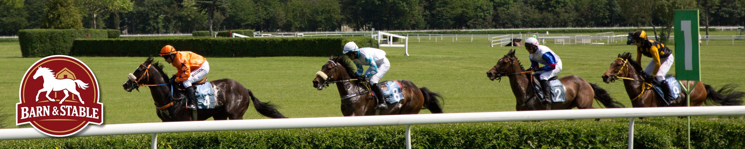 Racehorses moving across a green course