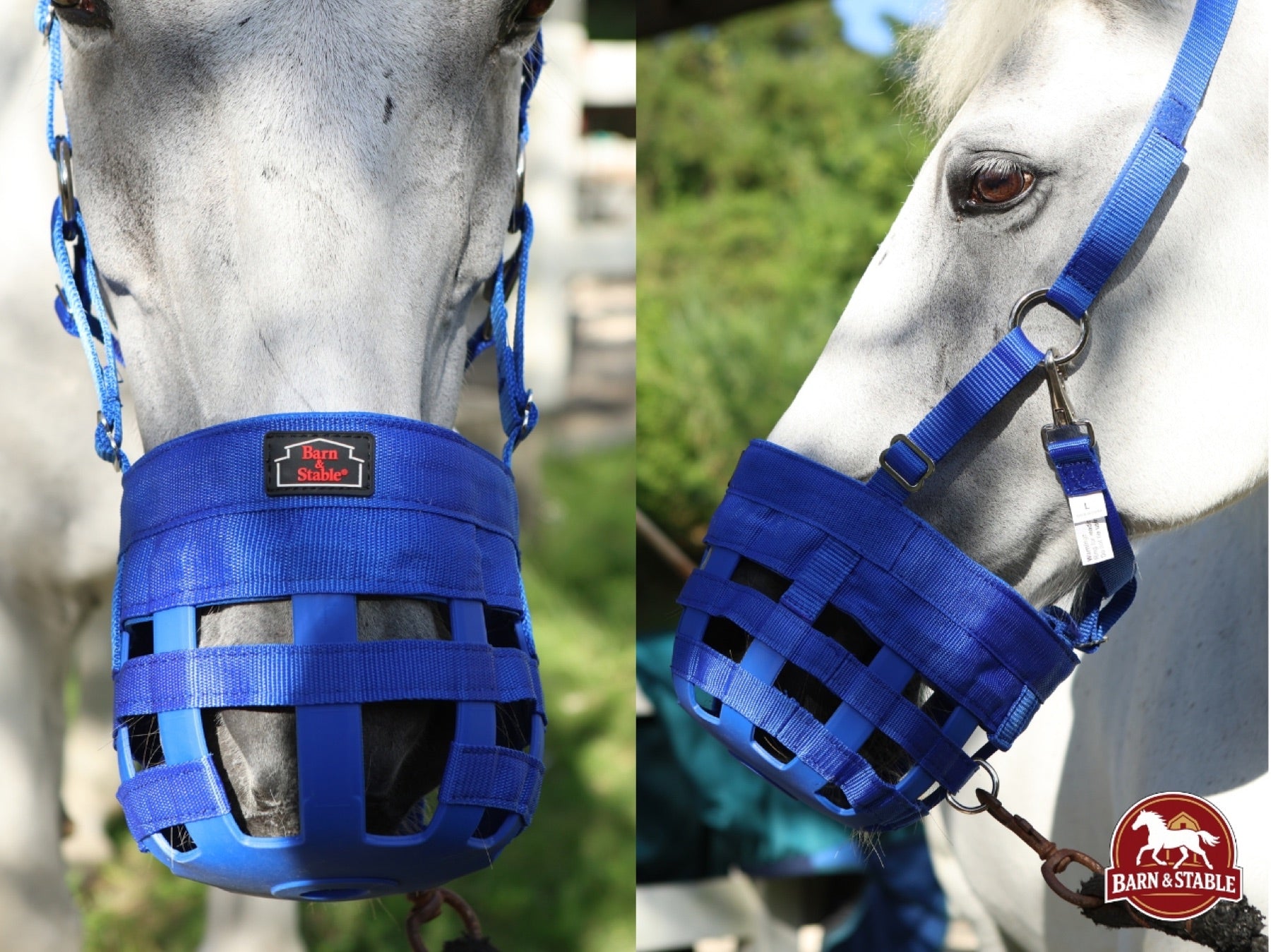 Blue and red grazing muzzles fitted on horses