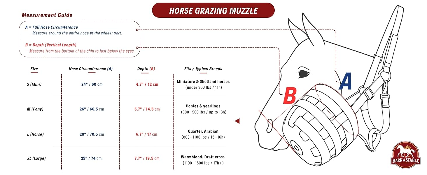 Horse grazing muzzle measurement guide from Small to Extra Large