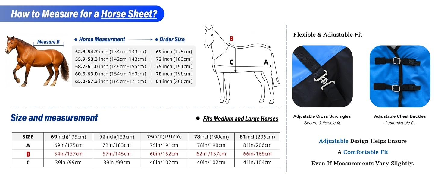 Horse sheet measuring guide with sizes from 69 to 81 inches