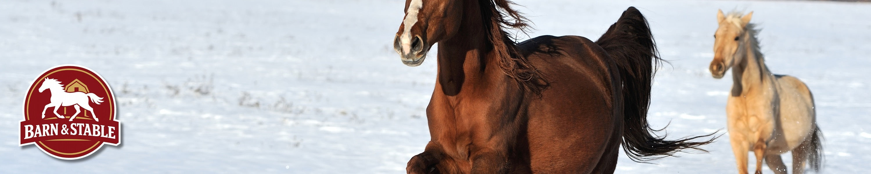 Two horses running through a winter field