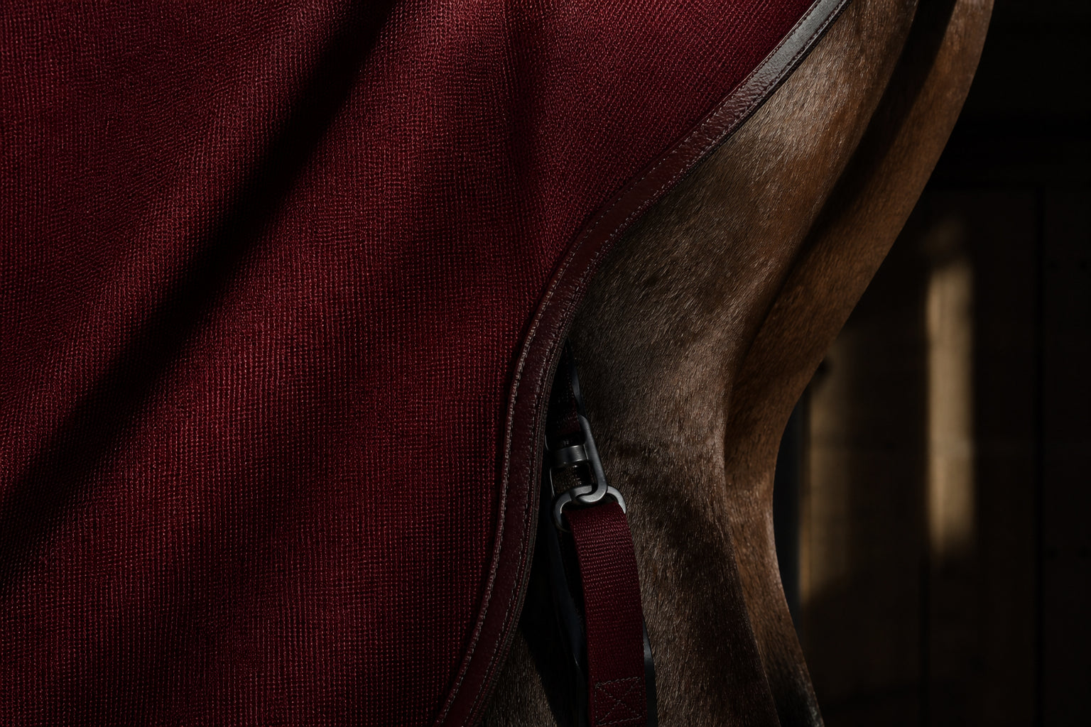 Horse in a stable wearing BARN & STABLE equipment